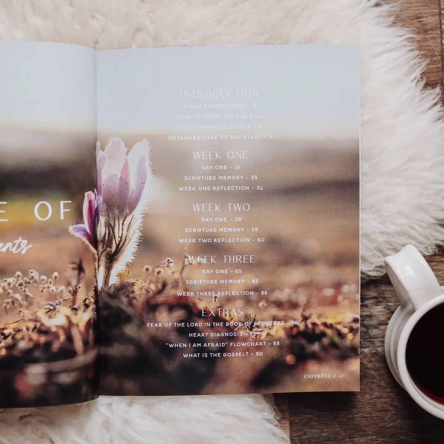 Bible Study- When Fear Meets Faith