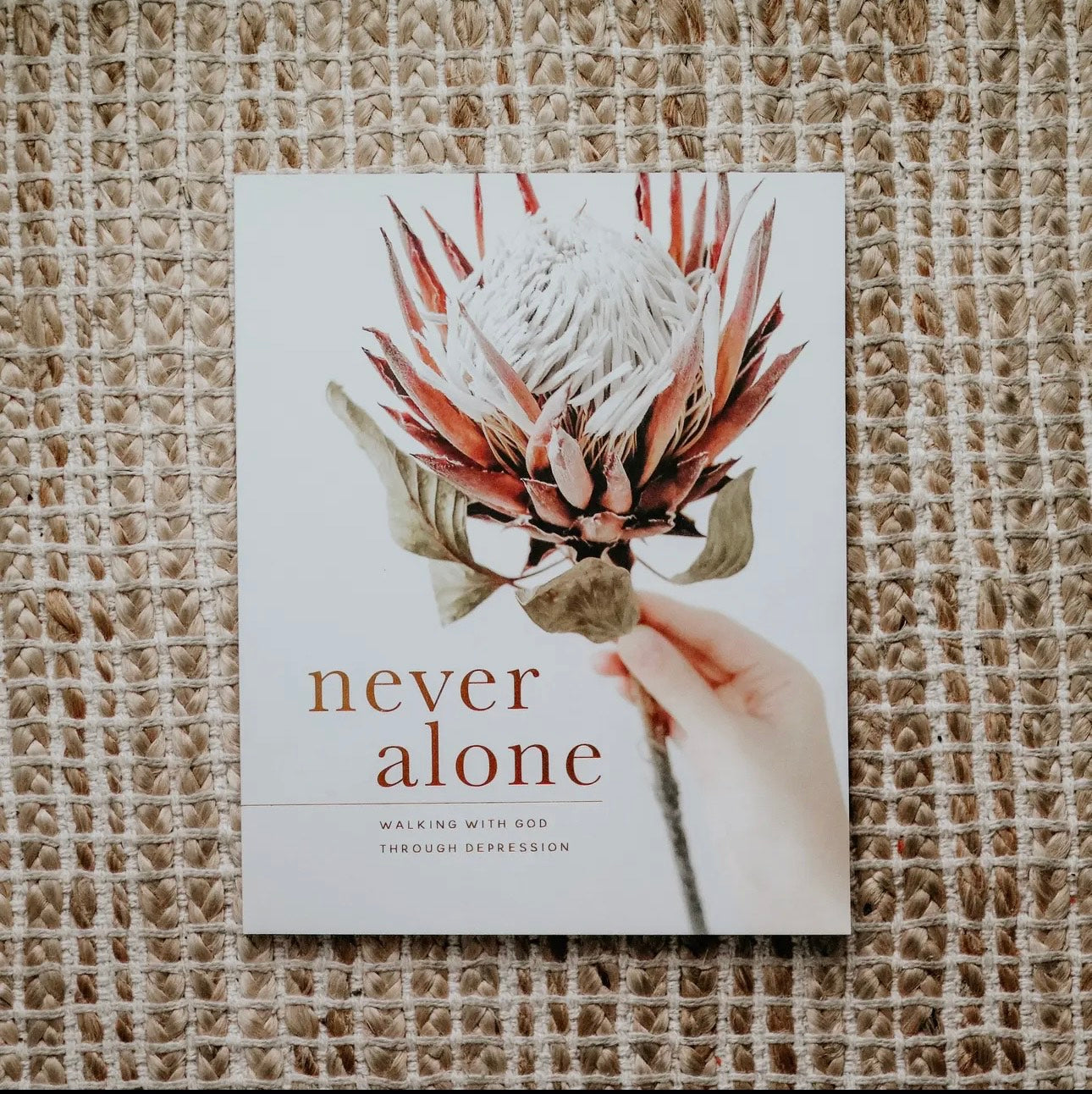 Bible Study- Never Alone