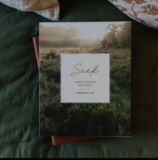 Bible Study- Seek A Walk Through The Psalms